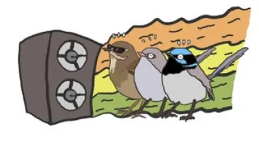 Three cartoon birds standing in front of a speaker in a natural setting.