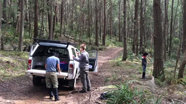 Three people engage with equipment near an open SUV in a dense, wooded forest.