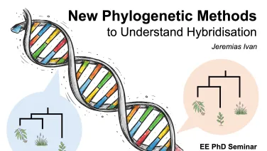 Image supplied by Ivan Jeremias